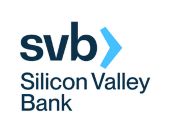 SVB sparks concerns over capitalization, leading to a decline in bank stocks